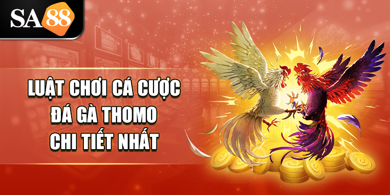 luat choi ca cuoc da ga thomo chi tiet nhat